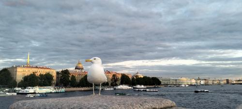 �� ���������� 