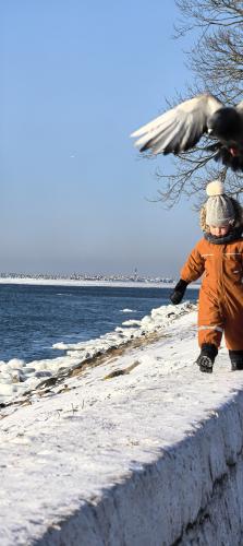 ������� �����������