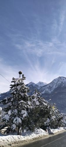 ��� �� ���� 