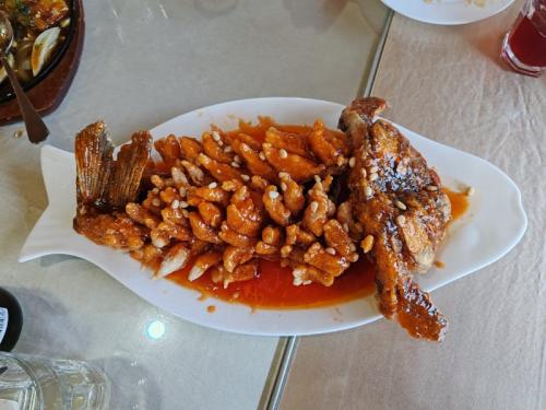 ����� ��������