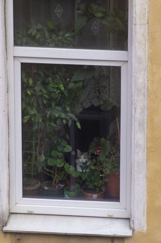 � ��������