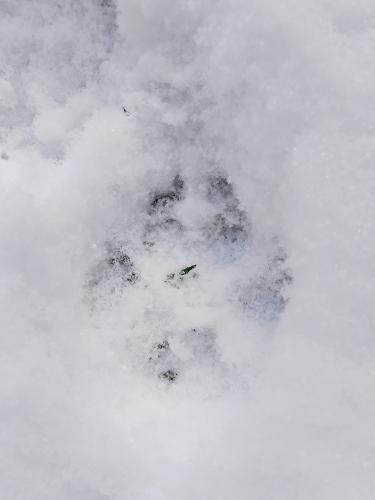 ���� �� �����