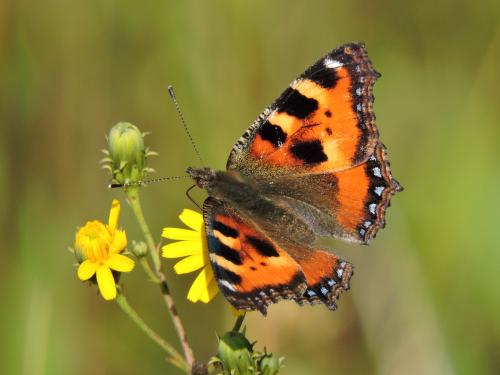 ����������