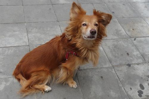 ������� ������� � �������� ��������