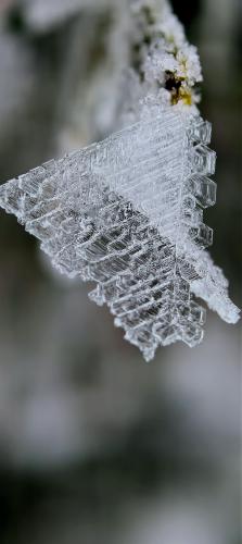 ������������ �������� ����