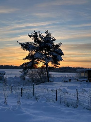 �������