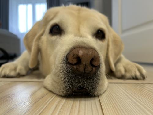 ������ ���