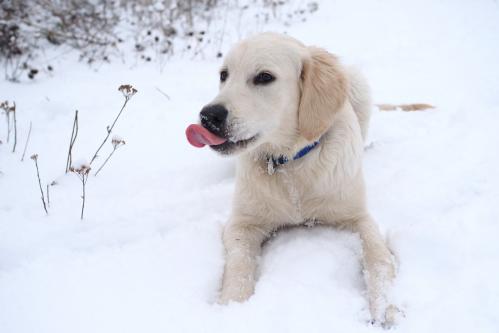 ������ � ����� ����...