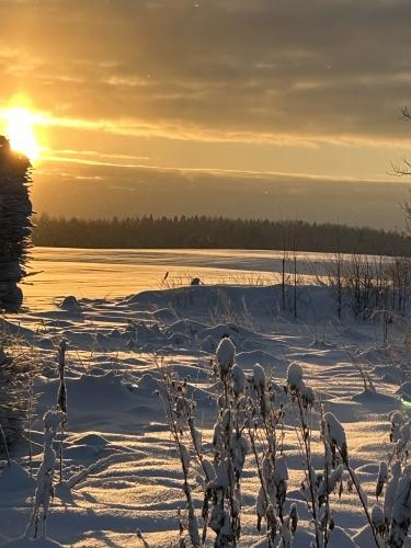 �������