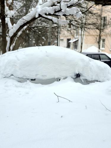 � �������� �����