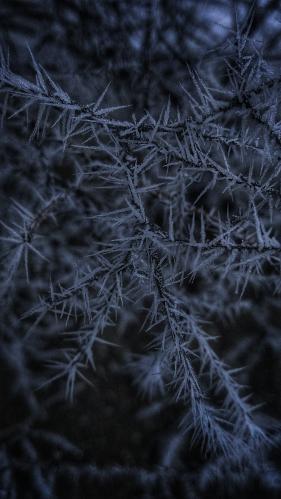 ������� �����