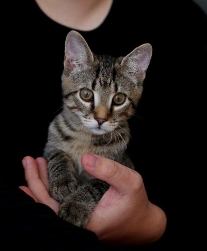 �� ������