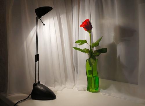 ��������� ���������