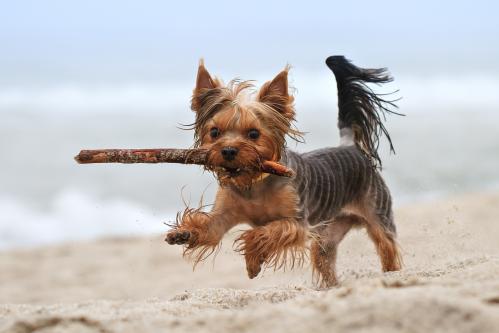 ���� � ����