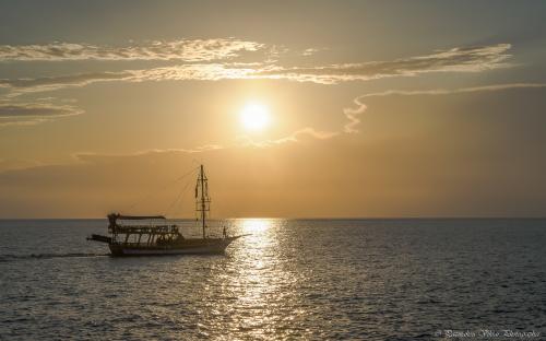 ���������������