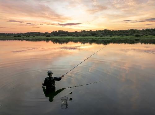 �� ������