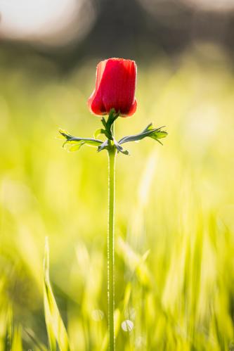 ��������� ����������. 