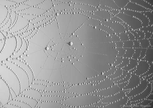 � �������� ����