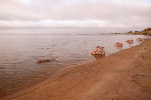 ������ ����