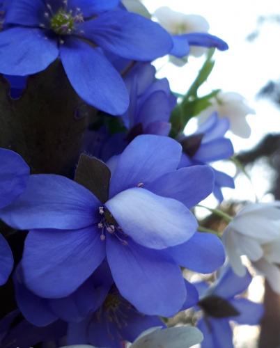 �������� ����������.