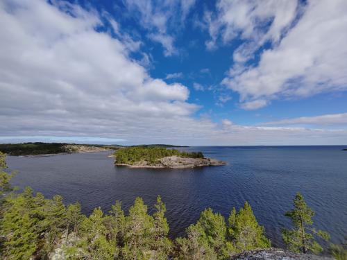 ����� ����