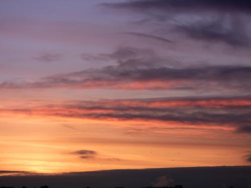 ������ �����