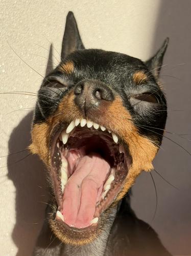 ��� ������ 