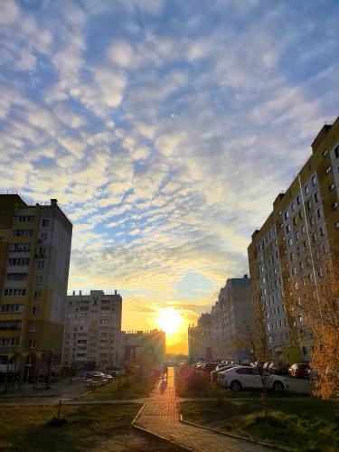 ������ ������