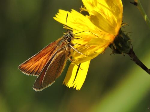 �������������