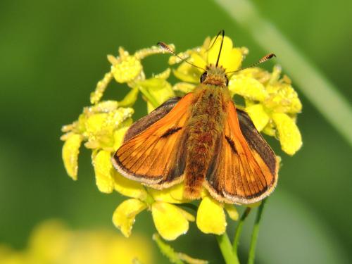 �������������