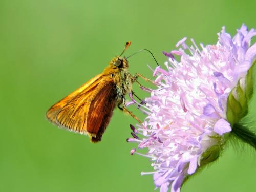 �������������