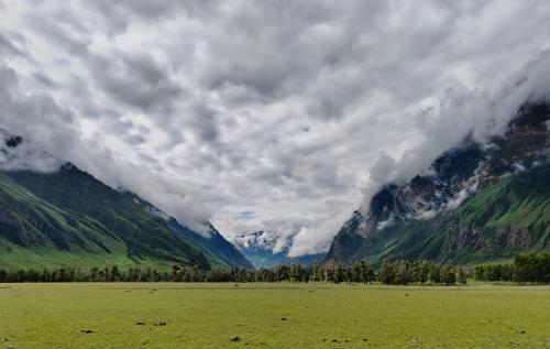 ������ ���� ������