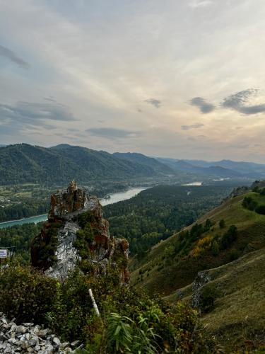 ������ �����