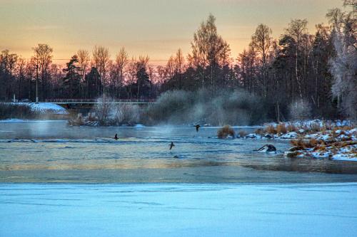 ���� ��� �����