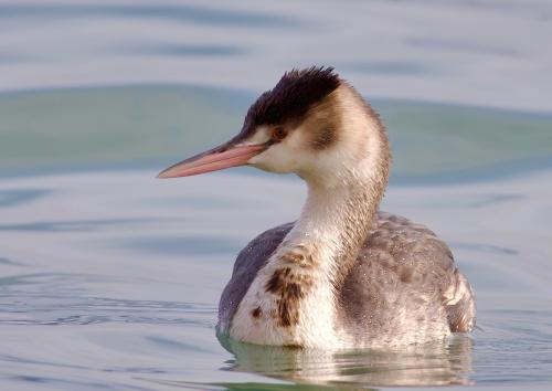 ������� - ��� �������� ����!