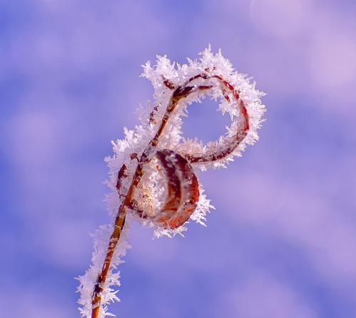 ���������� ��������: ������ �������