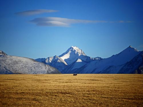 ����-������� ������.