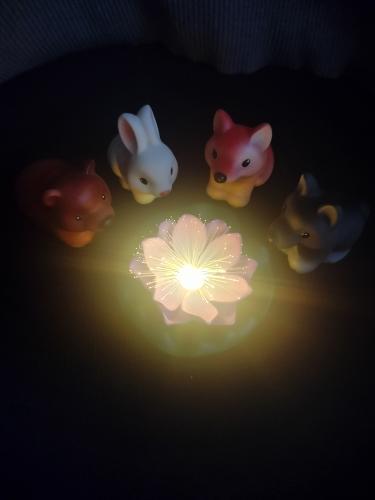 ����������� ��� 