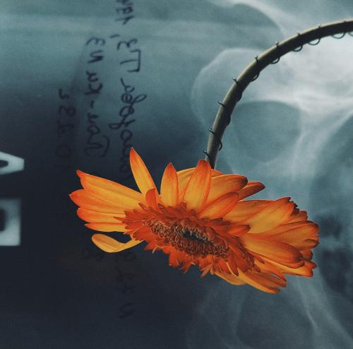 �������