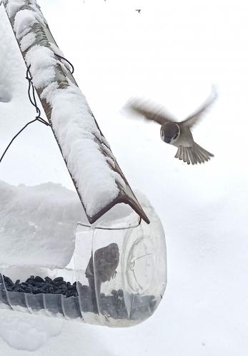 ������������������