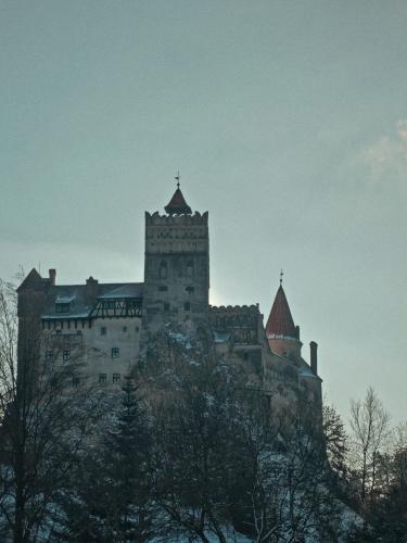 ����� ������� (����)