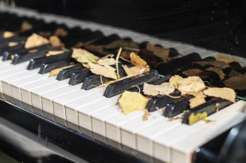 ����� ���� ������