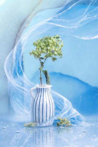 ���� � ���������