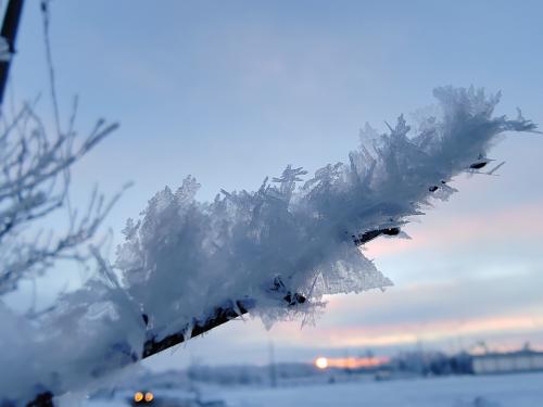 ������� ��������