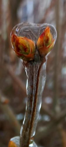 � ������� �����