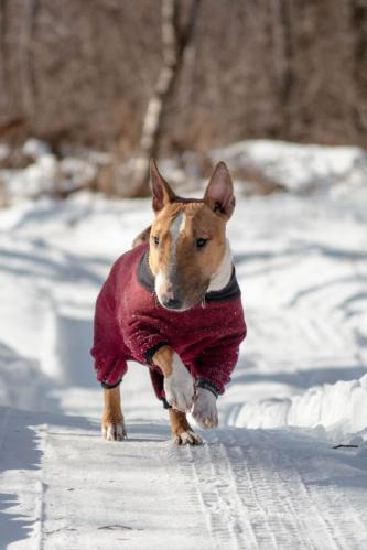 �������� � ������ ����