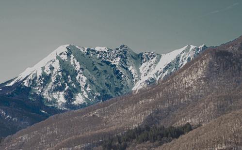 ���������� ����