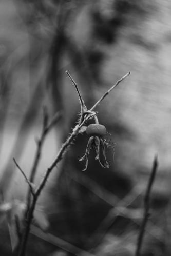 �����������...