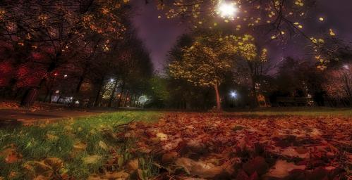 �� ��������.