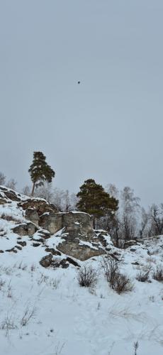 ������� ����